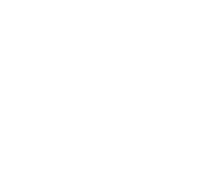 Adonis Lojistik logosu
