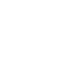 Assist Line firmasına ait logo