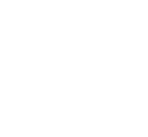 Audio firmasına ait logo