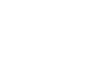 Barsan logosu