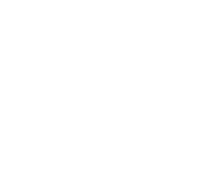 Borusan Lojistik logosu