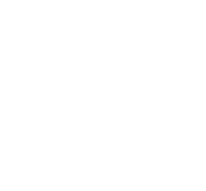 Daimon Logistics logosu