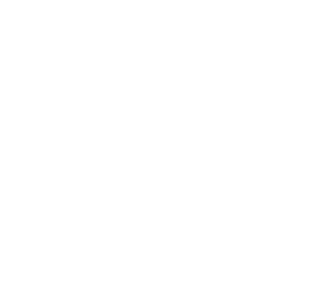 Ekol Lojistik logosu