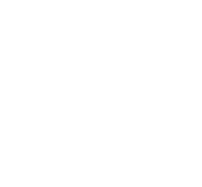 Erse firmasına ait logo