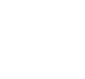 Evren Oto firmasına ait logo