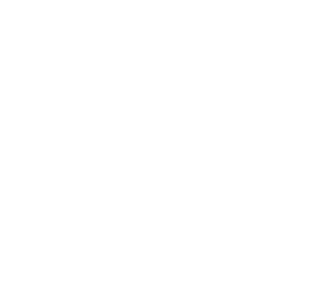 Galena firmasına ait logo