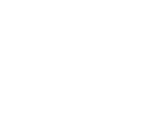 Hasel firmasına ait logo