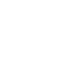 Havi firmasına ait logo