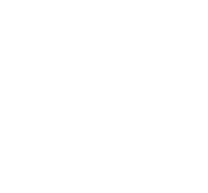 Mapp firmasına ait logo