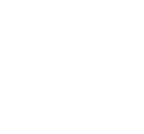 N11 logosu