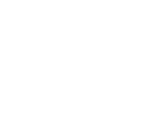 Netlog firmasına ait logo