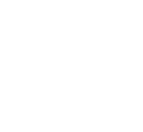 Araç takip sistemi firması Satko'nun referansı olan Papa Johns firmasına ait logo