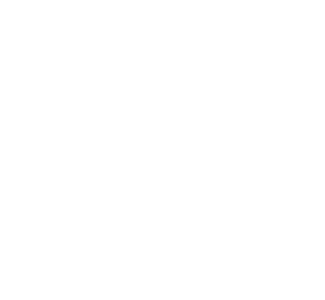 Peninsula firmasına ait logo