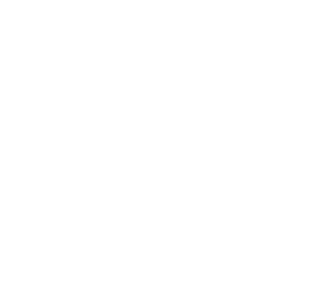 Secret CV logosu