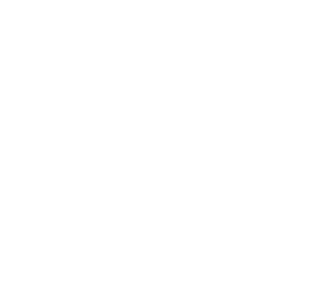 Seyidoğlu logosu