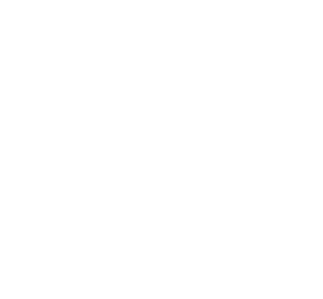 Sonax firmasına ait logo