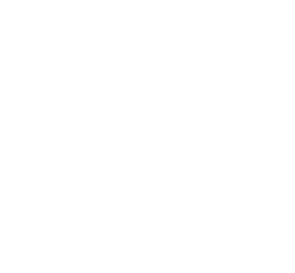 Sportive logosu