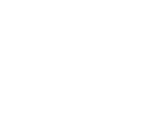 THY Cargo logosu