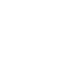 Toros Nakliyat logosu