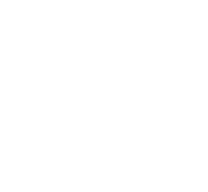 Tur Transit logosu