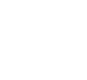 Türk Net logosu